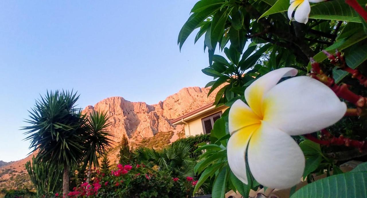Ciuri Ri Zagara Bed & Breakfast Cinisi Luaran gambar